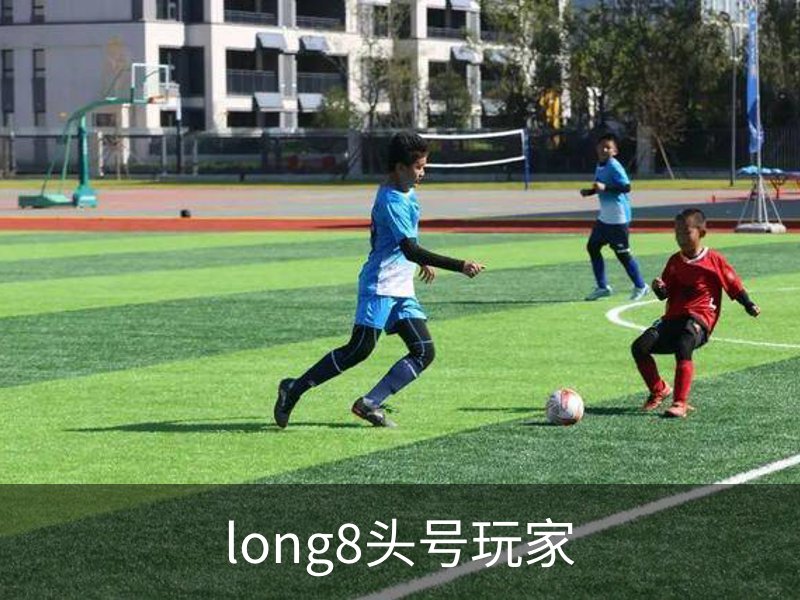 long8头号玩家介绍